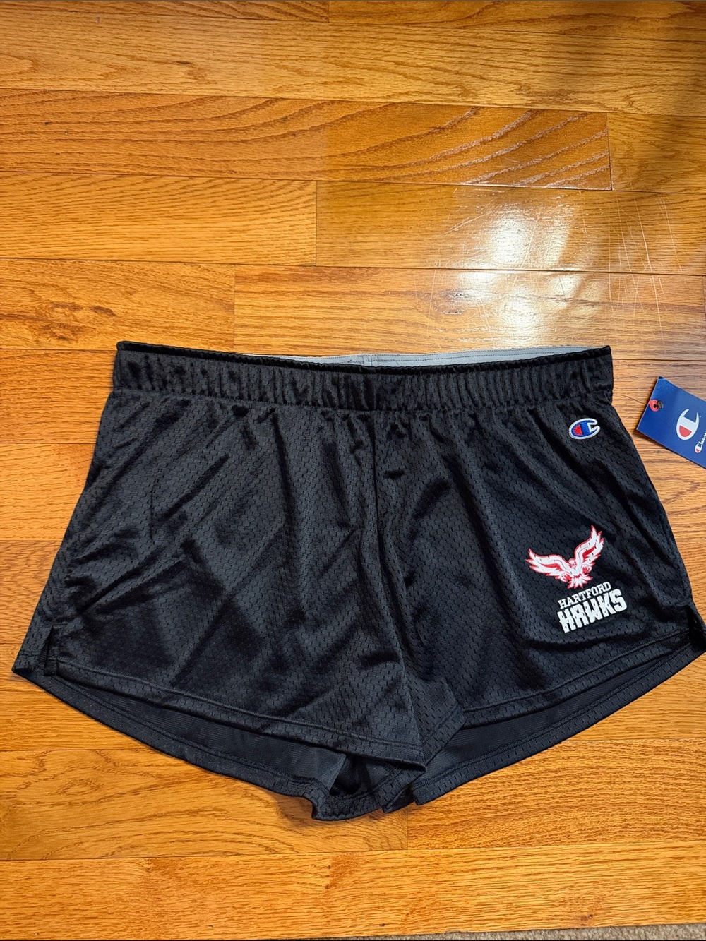Champion University of Hartford Hawks Women's Athletic Mesh Shorts - NEW